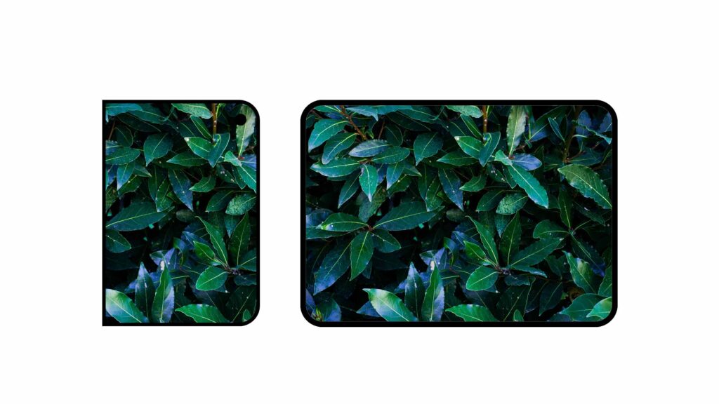 Green themed wallpapers for iPhone Duo high resolution