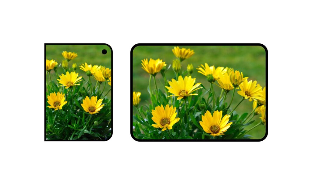 yellow flowers wallpaper for iPhone Duo