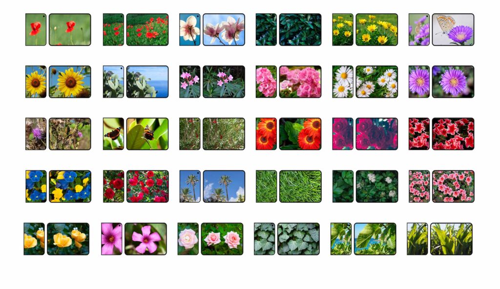 preview of bundle of wallpapers for iPhone Duo depicting 30 images with green themes